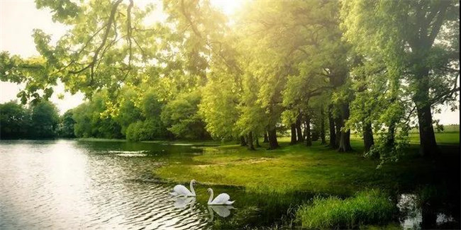 贝斯特红瞰花园洋房