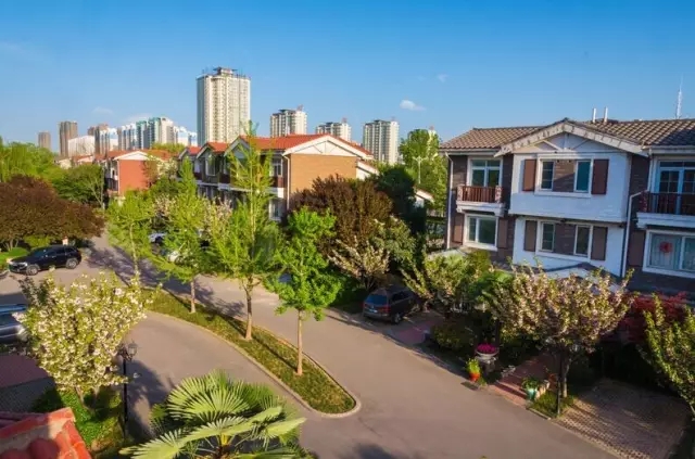 纸杯蛋糕 | 繁花五月，，，，，，，唯爱绵绵